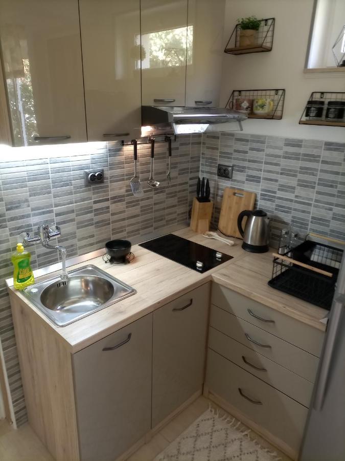 Studio Apartment Lile Trstenik  Exterior photo